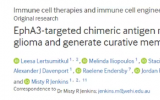 JITC：靶向EphA3的CAR-T细胞疗法有望治疗胶质瘤