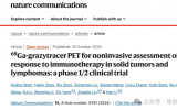 北肿-GrzmB靶向免疫PET探针转化研究